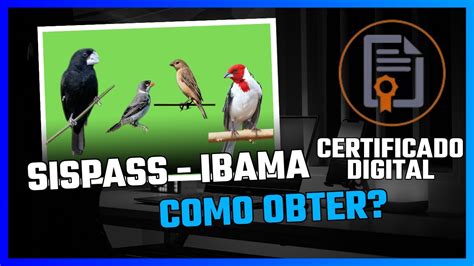 CERTIFICADO DIGITAL A3 IBAMA COMO FAZER PASSO A PASSO YouTube