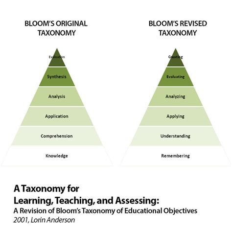 Learning Occurs At Various Levels Of Complexity The International