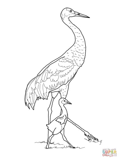 Sandhill Crane With Baby Coloring Page Free Printable Coloring Pages