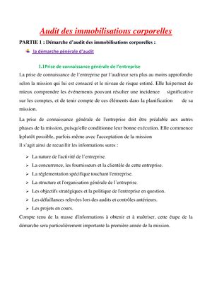 Audit Des Immobilisations Corporelles D Marche D Laboration Du