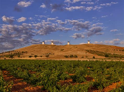 Exploring the underrated wine region of La Mancha in Spain