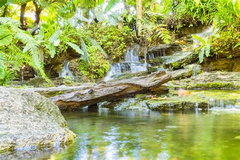 Waterfall in Tropical Garden during Spring Season. Beautiful ...