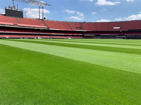 São Paulo faz plantio do gramado de inverno no Morumbi veja fotos