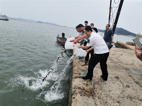 中国水产科学研究院长岛增殖实验站开展标志褐牙鲆、许氏平鲉增殖放流工作 长岛增殖实验站