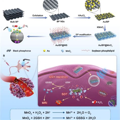 A Schematically Illustration Of Preparation And B Sonoactivated