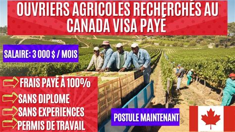 Ouvriers Agricoles Au Canada Avec Visa Gratuit En Aucune