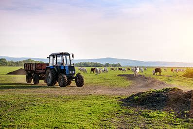 Un plan de relance à 1 2 milliard deuros pour les filières agricoles