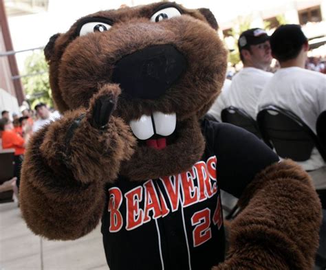 Oregon State Beavers rundown: Rebrand, Reveal and ReBeav - oregonlive.com