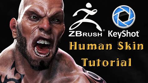 Tutorial How To Render Human Skin With Keyshot Zbrush To Keyshot