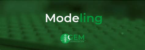 Team Groningen Model 2018 Igem Org