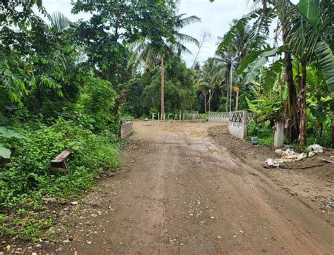 Agricultural Farm Lot For Sale Tagaytay Cavite Properties