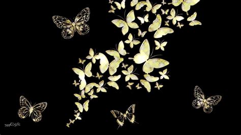 Black And Gold Butterfly Wallpapers Top Free Black And Gold Butterfly