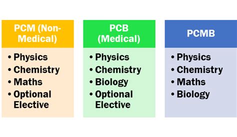 What Are The Subjects In The Science Stream After 10th Class