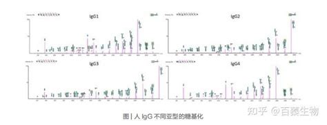 生物药表征及工艺控制丨生物药修饰表征——蛋白质 N 糖基化、o 糖基化位点与糖型分析 知乎