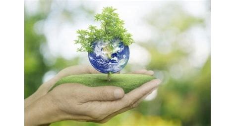 Biodiversity Conservation Preventing Pandemics - BW Healthcare World 