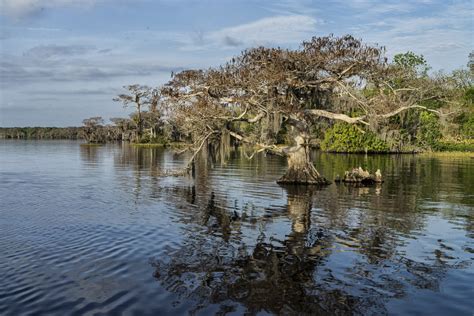 Blue Cypress Lake, FL