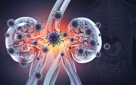 What Is Kidney Failure YourCareEverywhere