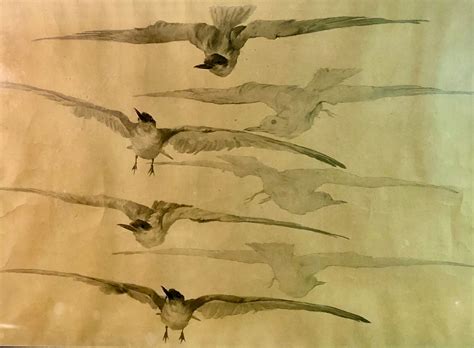 Bird flight, watercolor | Drouot.com