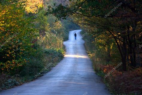 Hombre Caminando Solo En El Camino En El Bosque Fotograf A De Stock