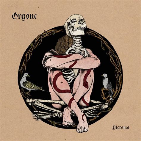 Orgone Pleroma Reviews Album Of The Year