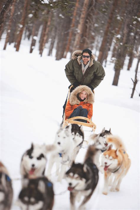 Dog Mushing: What It Is & How To Get Started With the Sport – Dogster