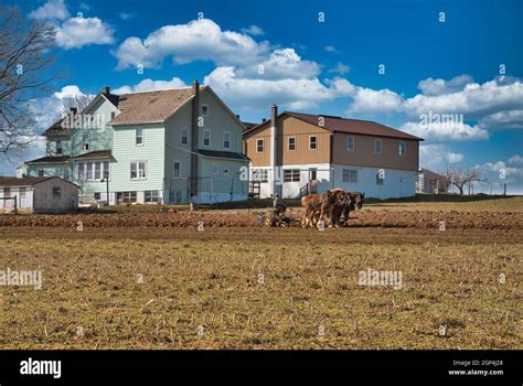 Amish farmers farm people hi-res stock photography and images - Alamy