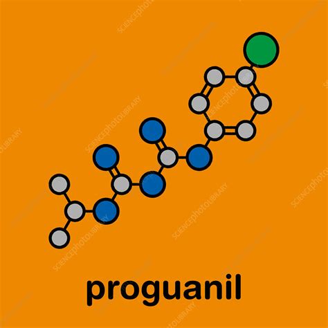 Proguanil Prophylactic Malaria Drug Molecular Model Stock Image F025 2966 Science Photo