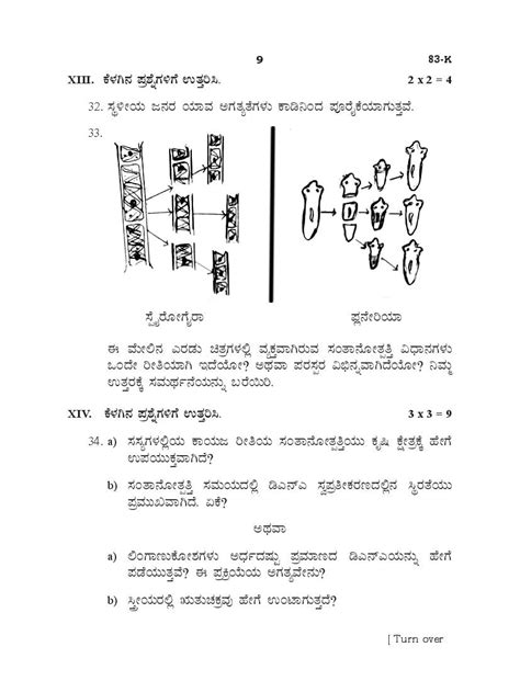 Karnataka Sslc Preparatory Science Model Paper Pdf