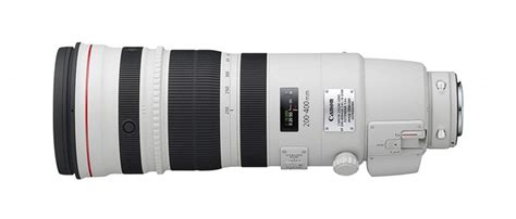 10 Best Telephoto Lenses for Wildlife Photographers (2021)