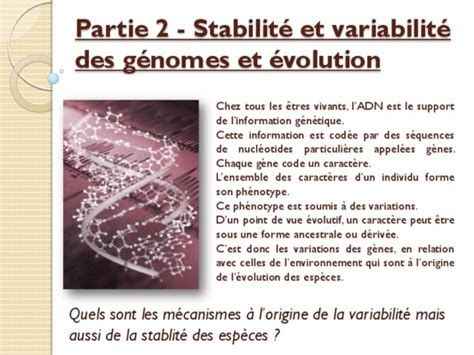 Devoir Terminale S Svt Stabilite Et Variabilite Des Genomes Et