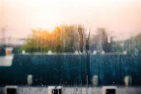 Vuplex - AVP Technik