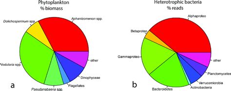 A Pie Chart For The Most Abundant Phytoplankton Groups Left Side In