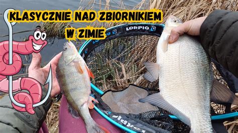 Zimowy Klasyczny Feeder Nad Zbiornikiem Youtube