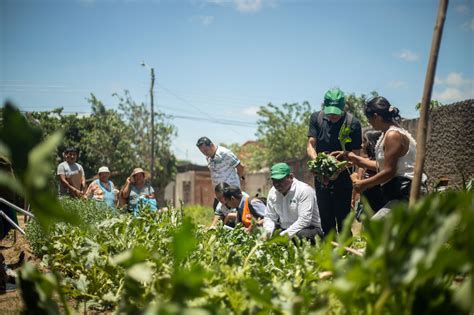 Huertos En Casa Para Mejorar La Nutrici N De La Ni Ez