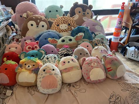 My updated squishmallow collection!! : squishmallow