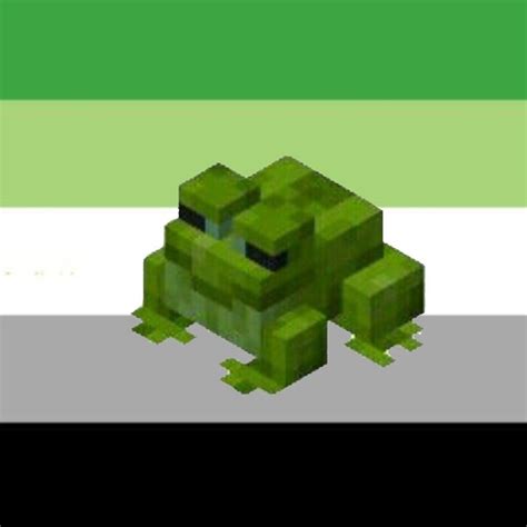 Minecraft Frog Aromantic Icon En 2024