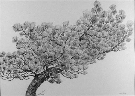 Pine Tree Tattoo, Torrey Pines, Japanese Painting, Sumi E, Country ...