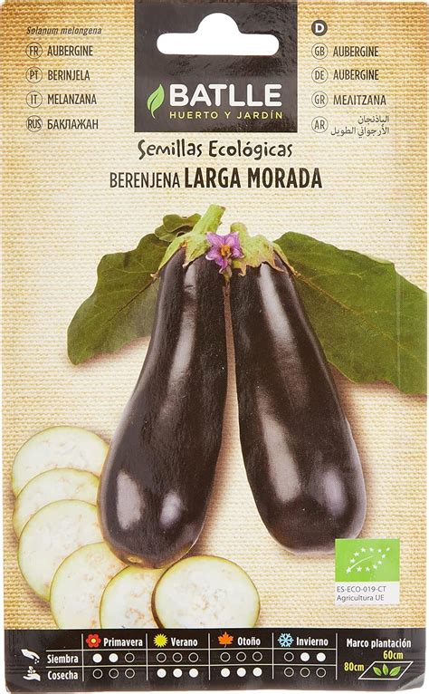 Semillas Batlle Berenjena larga Morada ECO Amazon es Alimentación