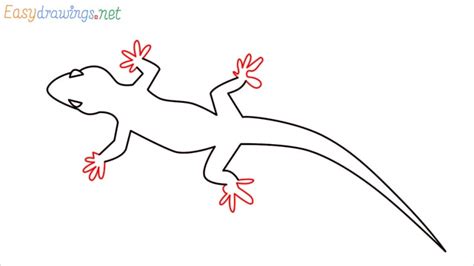 How to Draw a Lizard step by step - [7 EASY Phase]