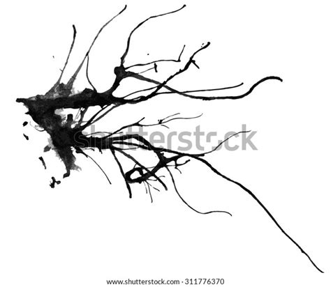 Skeleton Branches Naked Branch Vector Watercolor Stock Vector Royalty Free
