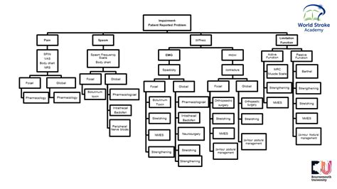 Appendix I World Stroke Academy