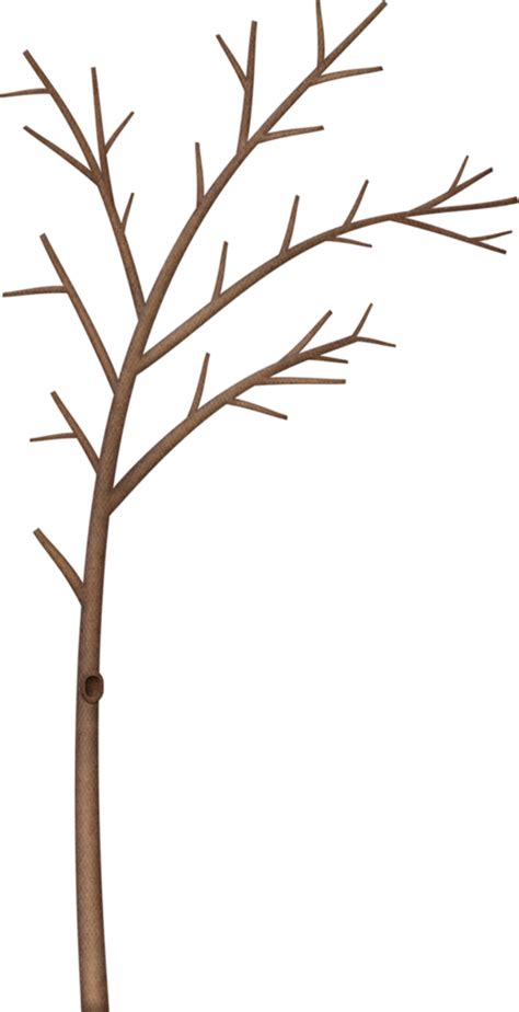 Download High Quality Tree Clipart Truffula Transparent Png Images