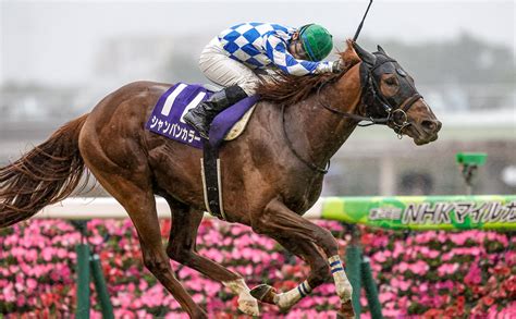 【nhkマイルカップ 結果情報】シャンパンカラーが無敗の東京マイルで最上級の輝きを放つ！ 競馬まとめ Netkeiba