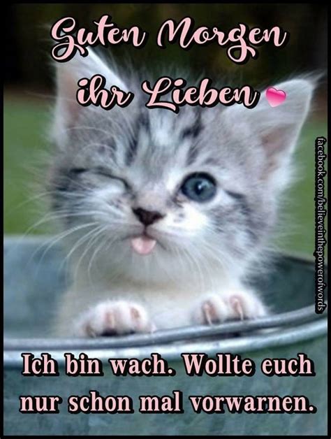 Pin By Heike Wahrn On Guten Morgen Katzen Funny Good Morning Humor