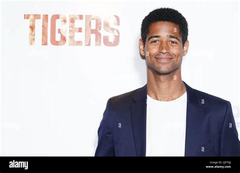 Alfred Enoch Seen Arriving At The Uk Premiere Of Tigers At The Curzon