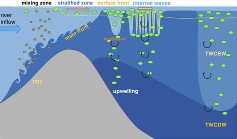 Frontiers Spatial Variations Of Phytoplankton Biomass Controlled By