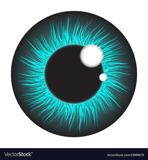 Eyeball Graphic Design