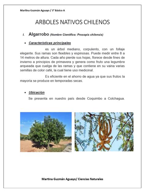 arboles nativos | PDF