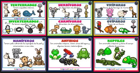 Tipos De Animales Tarjetas Para Plastificar Imagenes Educativas