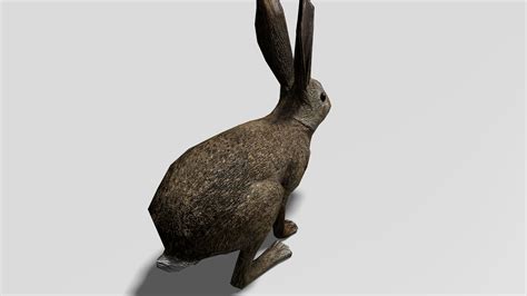 Rabbit 3D Model $10 - .blend - Free3D